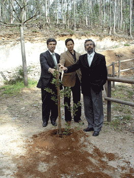Primeira das 4 mil arvores foi plantada no Monte de Paradela