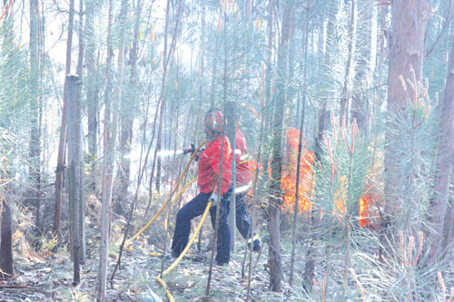 incendio-maganha