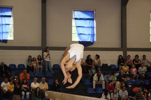 ginastica-olimpica-(81)