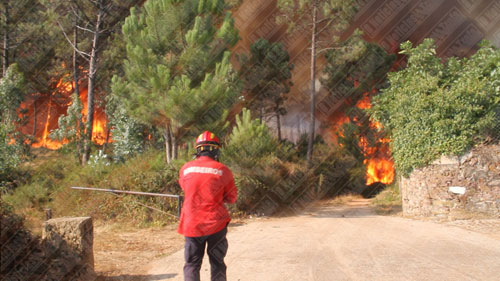 incendiocovelas26082013-1