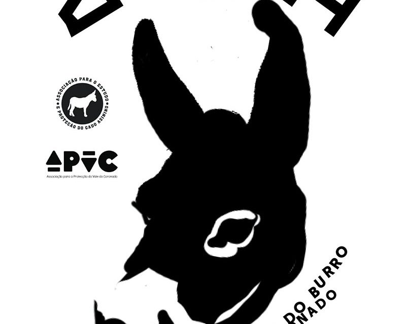 Abertas inscrições para a Festa do Burro