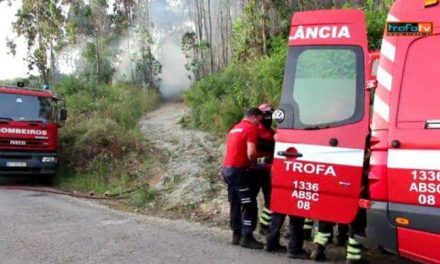 Incêndio em empresa de Alvarelhos