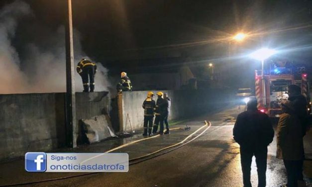 Incêndio destrói anexo que guardava lenha e animais