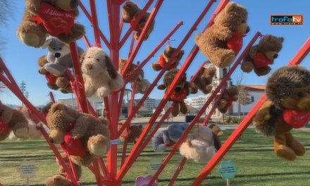 O Amor não é Violento… É Fofinho