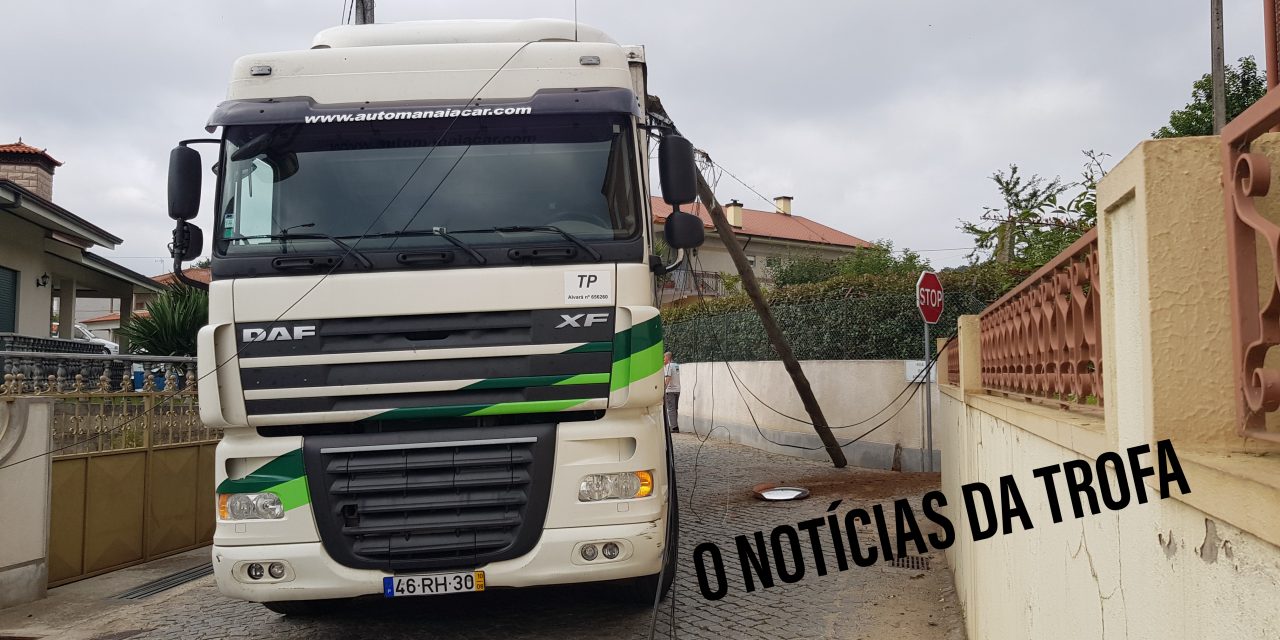 Camião arranca postes e danifica carros