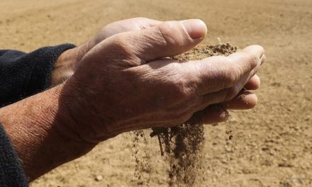 Preocupação ambiental e menor gasto de água aumentou rega gota a gota na Trofa